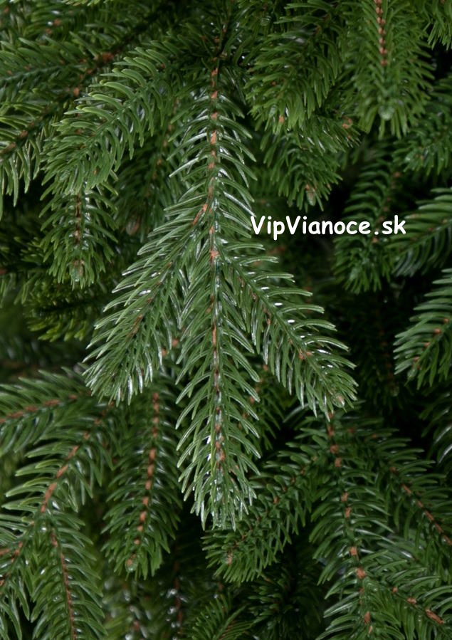 3d vianocny stromcek smrek premium